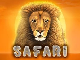 Safari screenshot